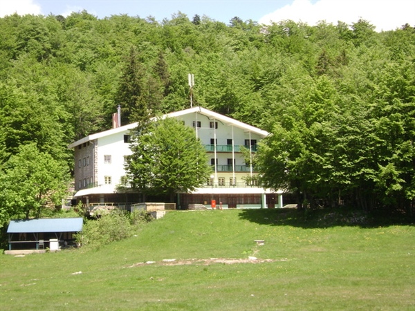 GalleryImage8702_52676